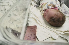 Жительнице Ефремова пришлось обратиться в прокуратуру, чтобы отстоять свои права на материнский капитал