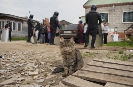 Задержана представительница цыганского этноса, совершавшая кражи в г. Донском Тульской области