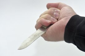 Житель Каменского района убил свою ревнивую сожительницу
