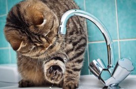 На юге Тулы нет воды: ведутся аварийные работы