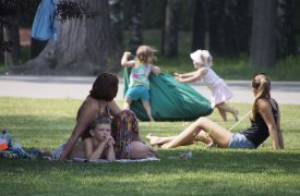 В Тульских парках можно не бояться клещей