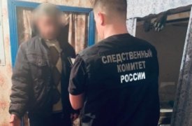Пьяный житель Воловского района насмерть забил сожительницу
