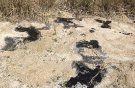 Туляки жалуются на мазут, текущий из земли в Пролетарском районе