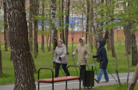 Тульские пенсионеры могут заняться скандинавской ходьбой