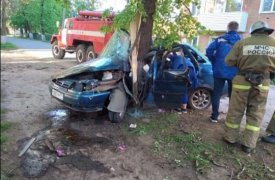 В Северо-Задонске ВАЗ врезался в дерево: один человек погиб