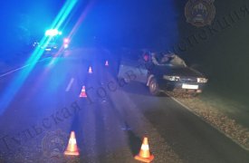 В Дубенском районе под ВАЗ бросился лось
