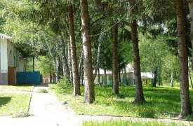 Из детского лагеря в Тульской области пропал подросток