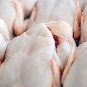 В продукции птицефабрики из Тульской области нашли антибиотики и сальмонеллу