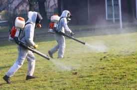 Поселок Георгиево в Туле обработали от клещей