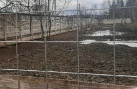 Суворовскому свиноводу придется навести порядок на своей ферме