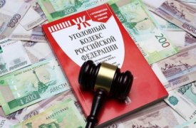 Жительница Тульской области обманом получила 700 выплат по уходу за ребенком