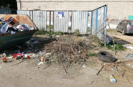 В Новомосковске коммунальщики «забыли» про мусорку на Куйбышева