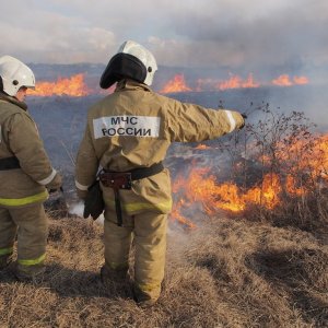 В Тульской области объявлено метеопредупреждение: в регионе пожароопасная обстановка 4 класса