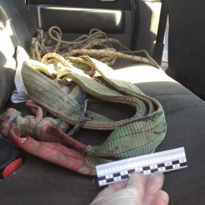 В автомобиле жителя Ленинского поселка в Тульской области нашли два трупа
