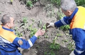 В Туле ликвидировали снаряд времен Великой Отечественной войны