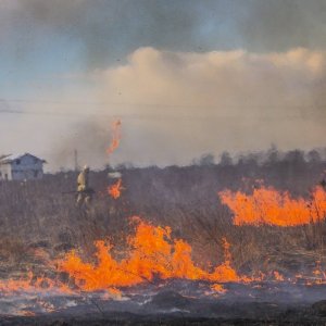 Положение о пожароопасности 4 класса продлено до 26 июня в Тульской области