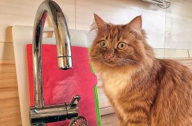 Из-за аварии на водной сети часть Тулы осталась без воды