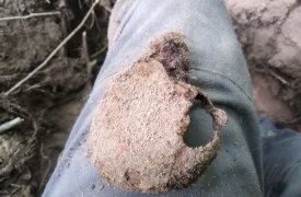 Останки 8 красноармейцев нашли в Арсеньевском районе Тульской области