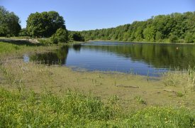 Утонувшего мужчину нашли в водоеме в поселке Новогуровский Тульской области