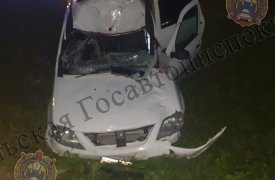 Под Тулой на М-2 Lada сбила лося: водитель в больнице