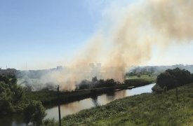 Горящая трава у тульского парка «Патриот»: туляки подозревают поджог
