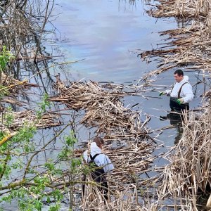 В Тульской области ликвидировали разлив нефтепродуктов на Любовском водохранилище
