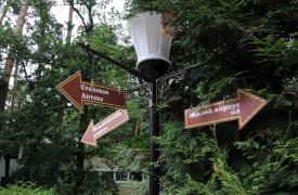 Недорого отдохнуть и пройти лечение в санатории можно в Тульской области