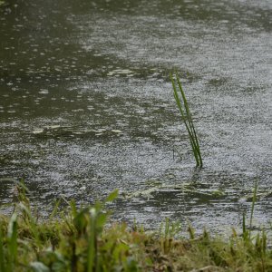 Вечер 28 июля в Туле может окончиться грозой и ветром: объявлено метеопредупреждение