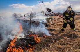 Ни костров, ни походов в лес: в Тульской области продлен особый противопожарный режим