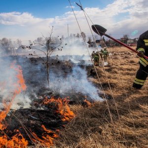 Ни костров, ни походов в лес: в Тульской области продлен особый противопожарный режим