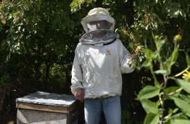 Щекинец без документов привез 60 пчелиных ульев из Краснодарского края