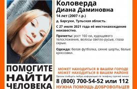 14-летняя девочка пропала в деревне Барсуки под Тулой