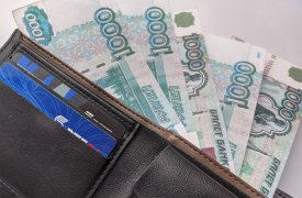 Полицейские Ефремова в рекордные сроки раскрыли кражу портмоне певицы из группы «Мираж»