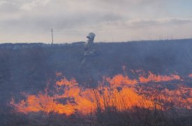 В Тульской области продолжает действовать особый противопожарный режим