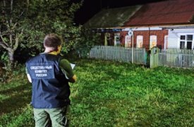 Пенсионер, подозреваемый в убийстве 2-летней девочки в Тульской области, рассказал подробности происшедшего