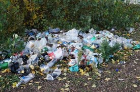 В Новомосковске после вмешательства прокуратуры устранили стихийную свалку