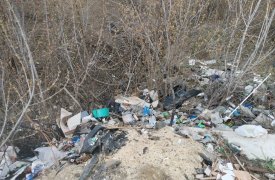 В Ефремовском районе ликвидировали свалку мусора и бревен