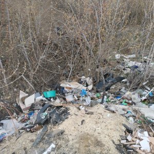 В Ефремовском районе ликвидировали свалку мусора и бревен