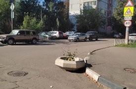 Администрация Тулы: цветочные вазоны уберут с проезжей части улиц Халтурина и Братьев Жабровых