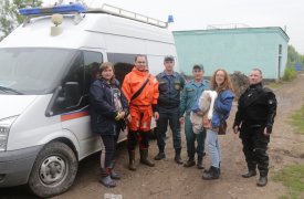 Сотрудники тульского МЧС спасли раненого лебедя в пруду Пролетарского района