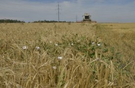 Двое новомосковцев украли кабели поливальной техники почти на 100 тысяч рублей