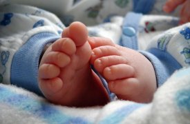 В августе в Тульской области родились Ной, Есения и Забава