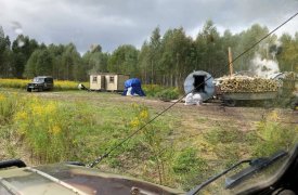 Жители Веневского района засомневались в законности вырубки леса возле деревни Вородуново