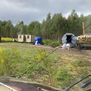Жители Веневского района засомневались в законности вырубки леса возле деревни Вородуново