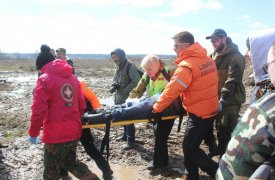 За август в Тульской области нашли живым 51 пропавшего человека