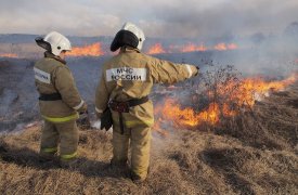 Высокая опасность пожаров: в Тульской области объявили метеопредупреждение