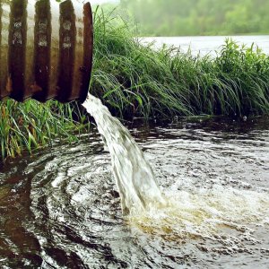 Прокуратура Тульской области нашла виновников загрязнения реки Черепеть