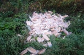 В Туле неизвестные выкинули на обочину десятки нарезных батонов хлеба: прокуратура проведет проверку