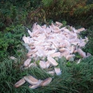 В Туле неизвестные выкинули на обочину десятки нарезных батонов хлеба: прокуратура проведет проверку