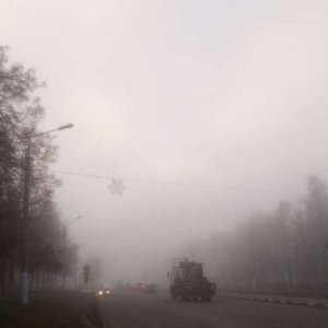 В Тульской области объявили метеопредупреждение из-за тумана
